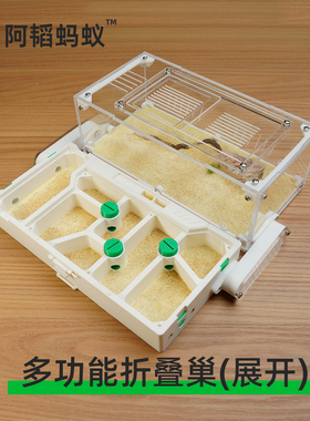 蚂蚁造景折叠生态平面蚁巢蚂蚁生态箱阿韬蚁巢蚂蚁平面巢阿韬ants