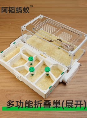 蚂蚁造景折叠生态平面蚁巢蚂蚁生态箱阿韬蚁巢蚂蚁平面巢阿韬ants