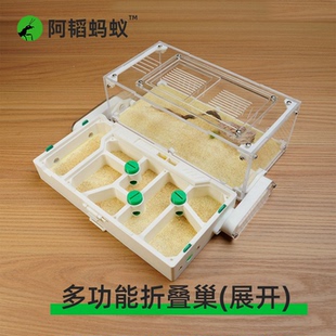蚂蚁造景折叠生态平面蚁巢蚂蚁生态箱阿韬蚁巢蚂蚁平面巢阿韬ants