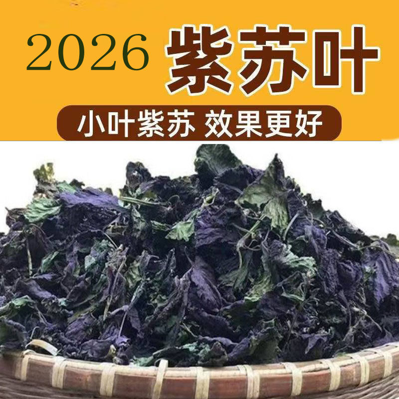 广西正宗农家紫苏叶自然晒干香料