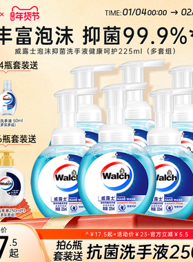 威露士泡沫型洗手液225ml瓶 儿童成人家庭专用温和清洁滋润双手