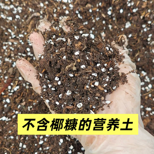 绿植花卉营养土泥炭土珍珠岩稻壳三合一不含椰糠细营养土