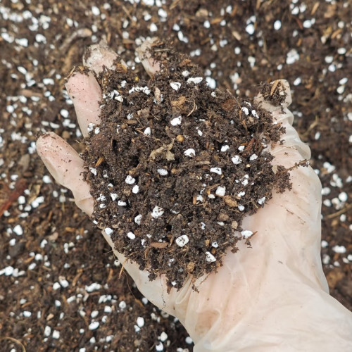 绿植花卉营养土泥炭土珍珠岩稻壳三合一不含椰糠细营养土