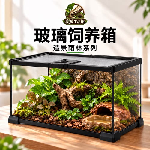 全透明，看龟看蛛都清楚