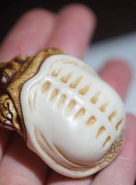 【甲鱼】鹿角根付/手把件/包挂/茶宠/钥匙挂