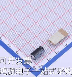 RGA221M1CSA-0611GACS 直插铝电解电容 220uF &plusmn;20% 16V 原