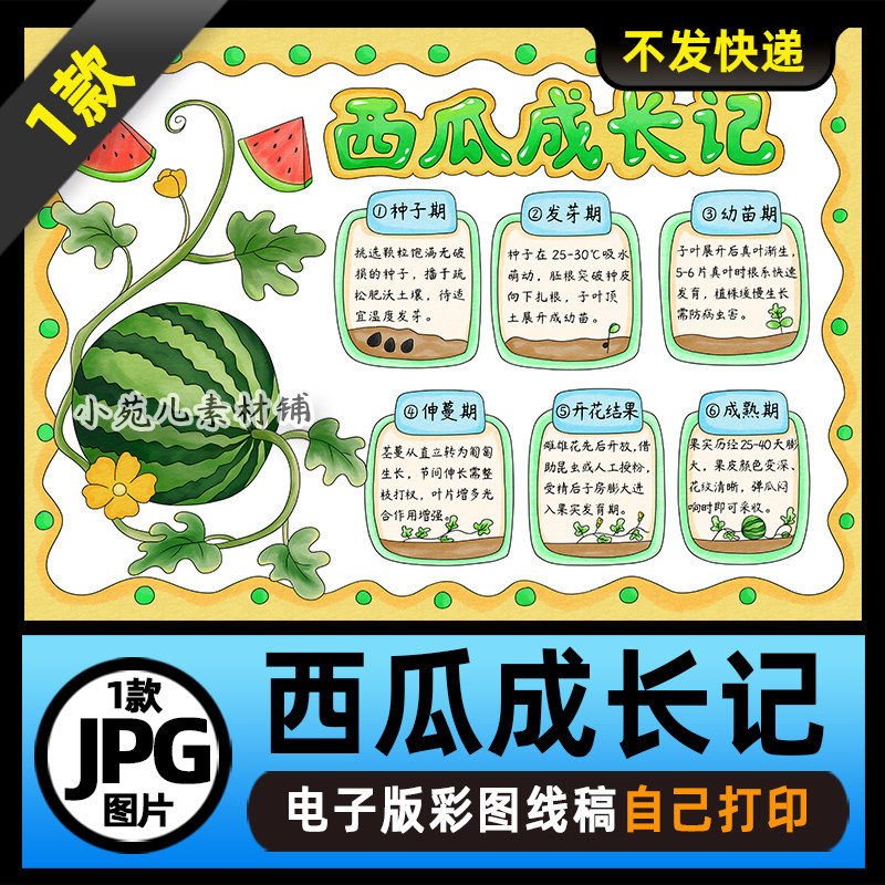 1065西瓜成长记手抄报植物成长记手抄报电子版线稿图片素材