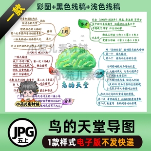 B475五语上鸟 彩图线稿需自己打印 天堂思维导图电子版