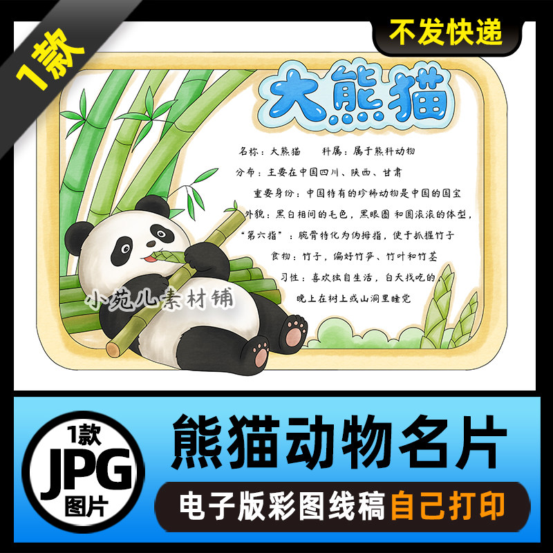 1054大熊猫手抄报动物名片观察动物电子版线稿可打印图片素材