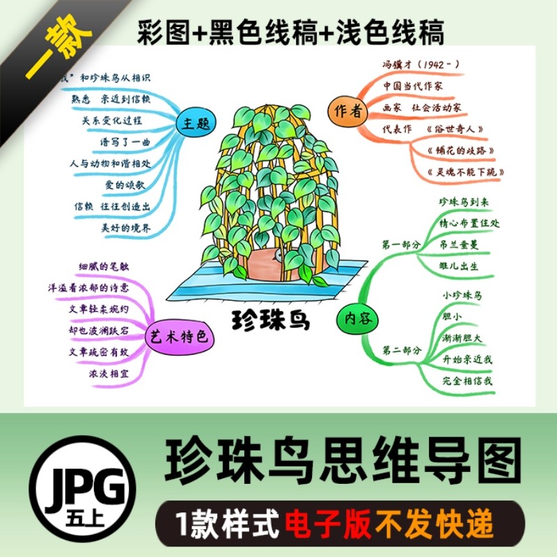 b386五语上《珍珠鸟》思维导图线稿电子版图片格式