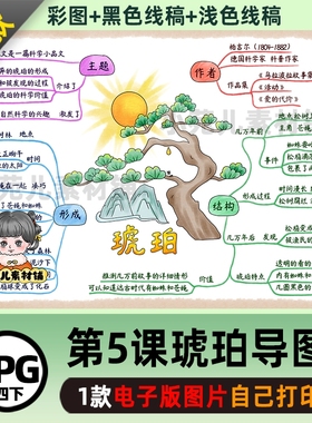 B588四语下第5课琥珀思维导图彩图+线稿电子版图片