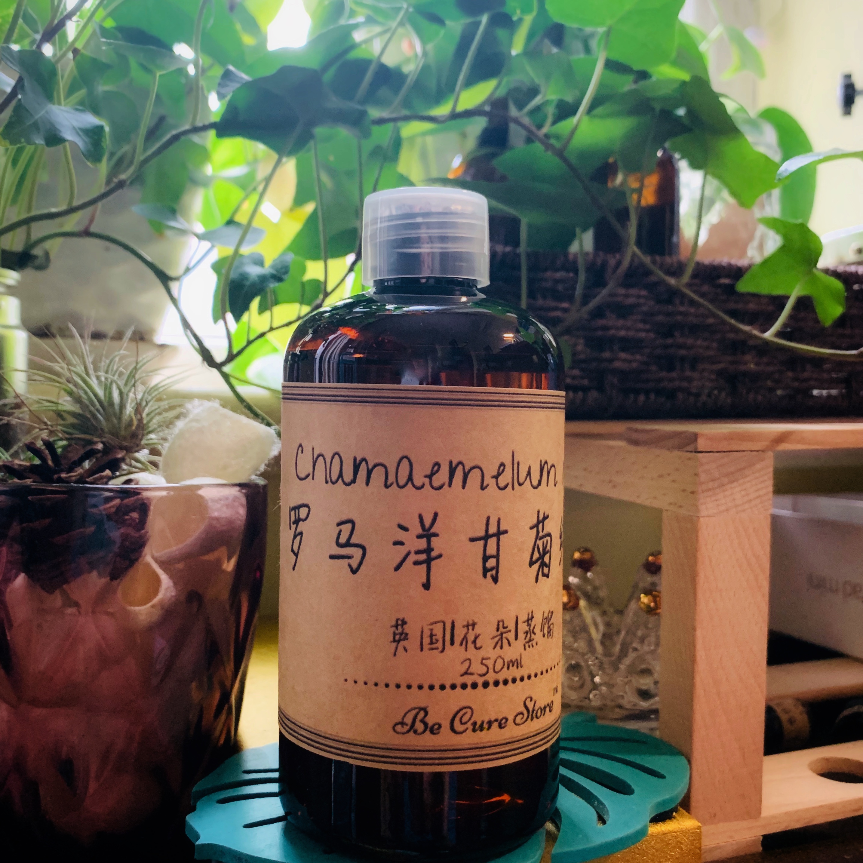 敏感肌有机保加利亚芳疗级精油