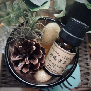 芳疗级柠檬薄荷精油 Mentha citrata 放松神经 助眠