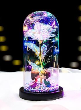 小夜灯玻璃罩玫瑰花生日礼物女生