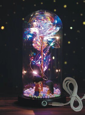 插电玻璃罩永生玫瑰花毕业礼物送女生闺蜜生日七夕节女友摆件夜灯