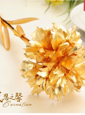 金康乃馨送给长辈妈妈的生日创意礼品实用饰品惊喜定制母亲节礼物