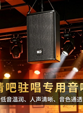 卧龍太極全频实木夹板前导