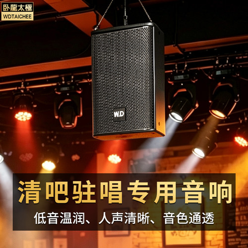 卧龍太極全频实木夹板前导