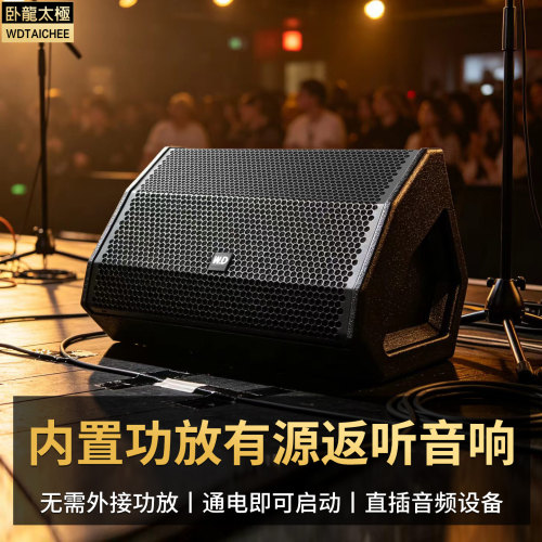 WD卧龙太极返听监听有源音箱