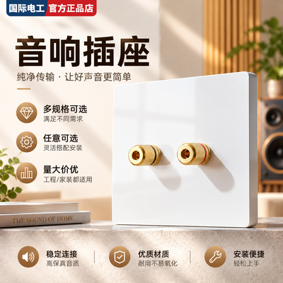 86型纯铜背景音乐音响插座面板