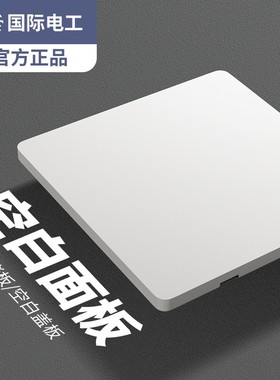 空白面板TEP国际电工86型超薄白色哑光开关插座面板家用暗装一开