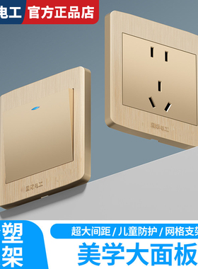 国际电工拉丝工艺香槟金86型开关一开双控5五孔家用开关插座16A