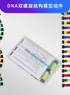 DNA双螺旋结构模型组件33307高中学生用生物实验器材dna教学仪器