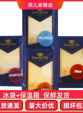 格兰特大孔干酪片160g 芝士片奶酪片三明治原料高达味芝士片