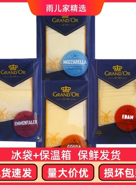 格兰特大孔干酪片160g 芝士片奶酪片三明治原料高达味芝士片