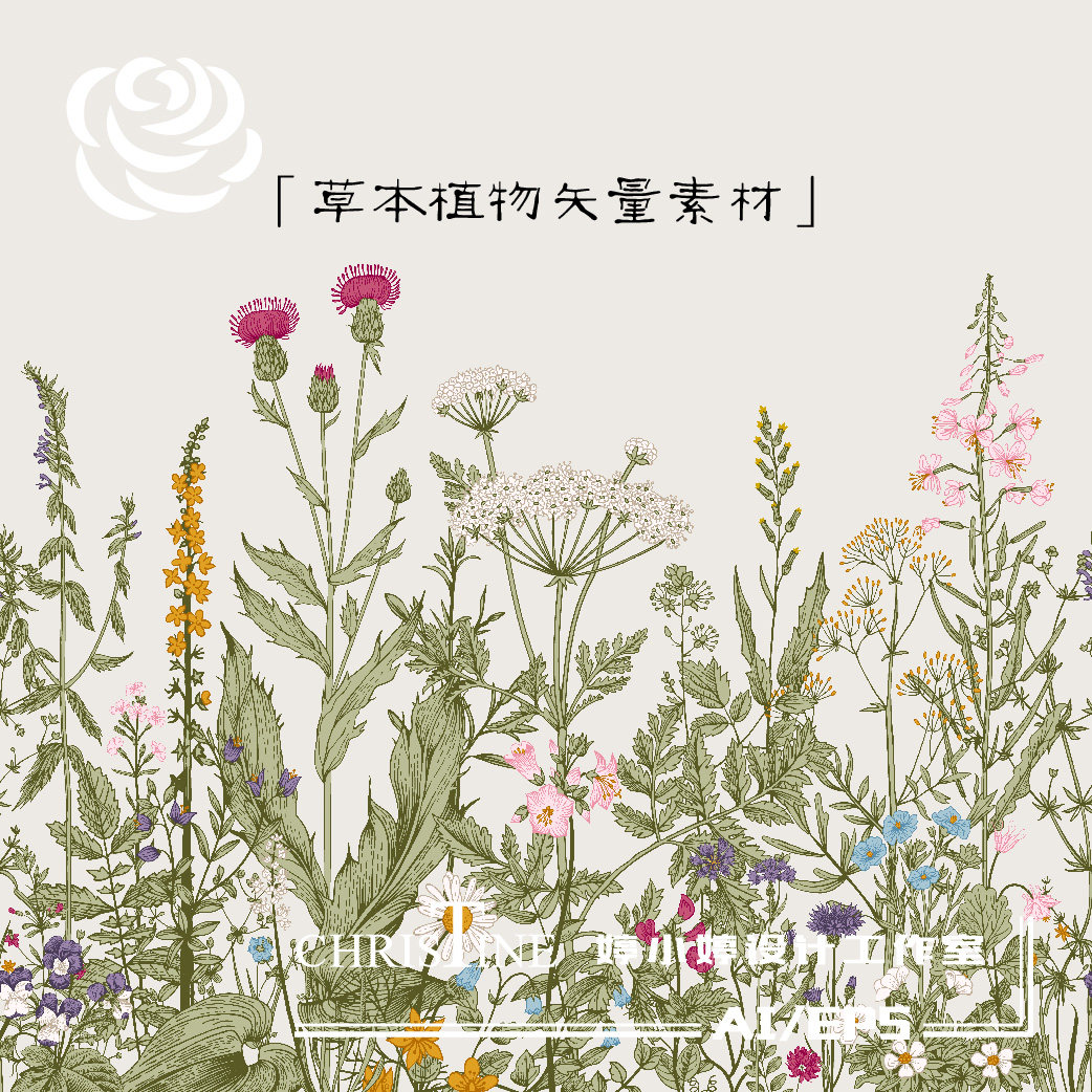 中国风复古手绘线描花卉花朵草本平面广告设计