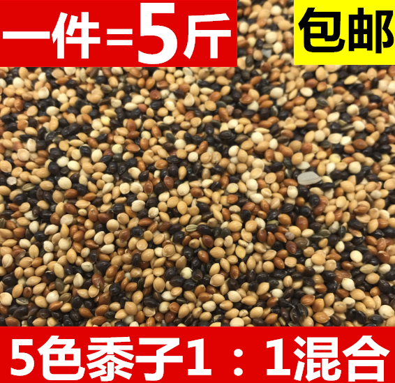 虎皮牡丹玄凤中小型鹦鹉鸟食饲料五色黍子鹦鹉混合营养粮谷子包邮