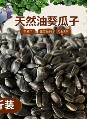 黑珍珠松鼠零食五斤装包邮小瓜子