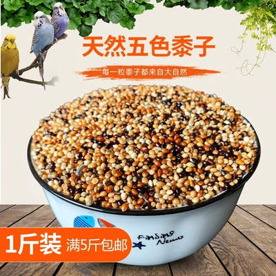 鹦鹉五色黍子中小型饲料鸟食