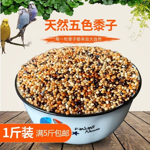 黑白红黄青五色5种混合小型鸟食