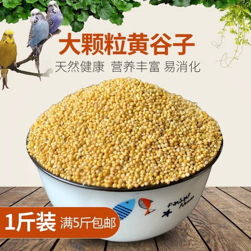 新黄谷子带壳小米虎皮牡丹玄凤中小型鹦鹉文鸟鸟食鸟粮1斤500g