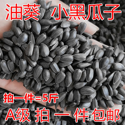优质黑珍珠小瓜子葵仁仓鼠零食