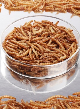 面包虫干仓鼠鸟食八哥乌龟芦丁鸡鹦鹉鱼食龟粮黄粉虫袋装批发大号