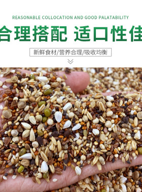 魔鬼饲料鸽粮无玉米小颗粒鸽子