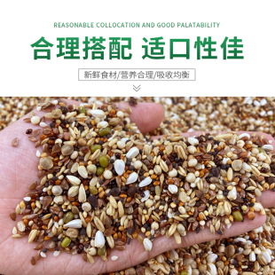魔鬼饲料鸽粮无玉米小颗粒鸽子食粮营养斑鸠特级信鸽专用包邮