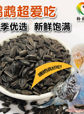 优质黑珍珠小瓜子葵仁仓鼠零食