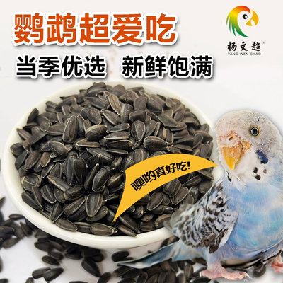 生黑珍珠小瓜子 生葵花子油葵籽 鸟食仓鼠金丝熊零食鸟粮鸽粮