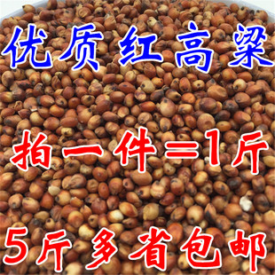 带壳红高粱 高粱米鹦鹉鸟食仓鼠零食/鸽饲料 五斤全国包邮500G