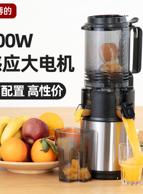 BUD博的JE-90大口径高端家用榨汁机原汁机果蔬机纯果汁冰淇淋机