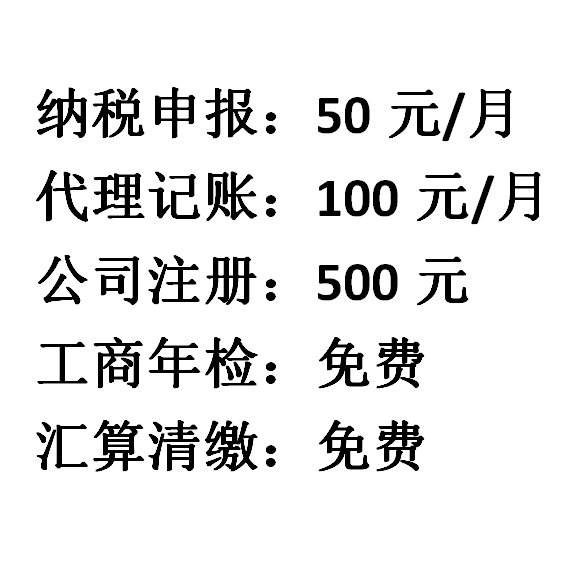 报税做账税务代账会计咨询 公司企业个体户代理记账报税 零申报