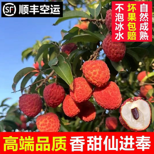 正宗桂花荔枝仙进奉荔枝香新鲜水果现摘现发妃子白糖桂罂味笑包邮
