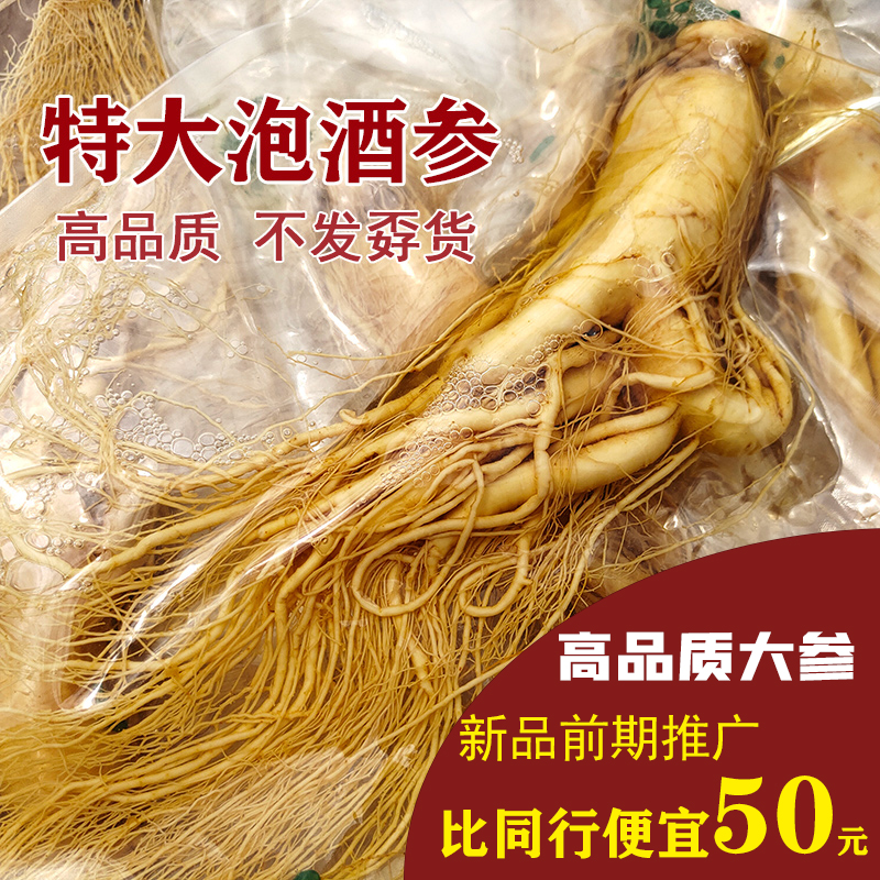 长白山鲜人参 20泡酒专用 大个整支大参东北特产保鲜参非野山参