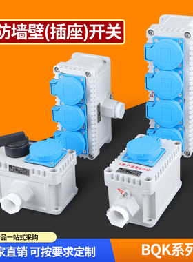 BQK防尘插座开关220V明装暗装五孔10A/16A86型多孔工业防水插座