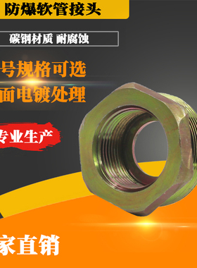 BNG防爆挠性管接头仪表M20*1.5内丝DN20内丝防爆软管内丝DN25内丝