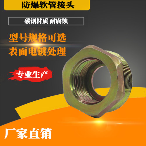 bng防爆挠性管接头仪表