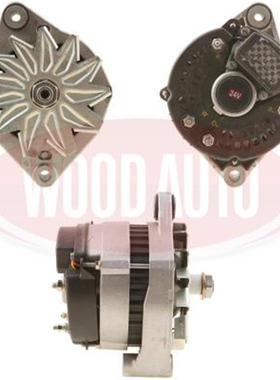 BUKH卜克DV20救生艇DV36发电机A13N143M A13N152M A13N36M 24V35A